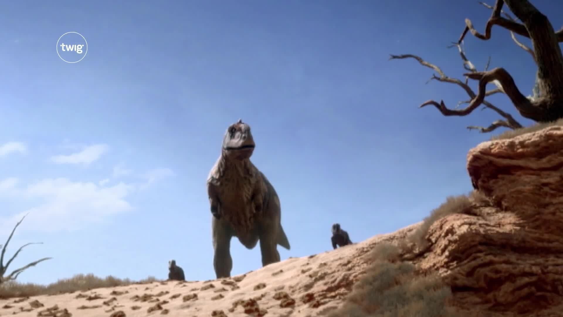 Dinosaur extinction