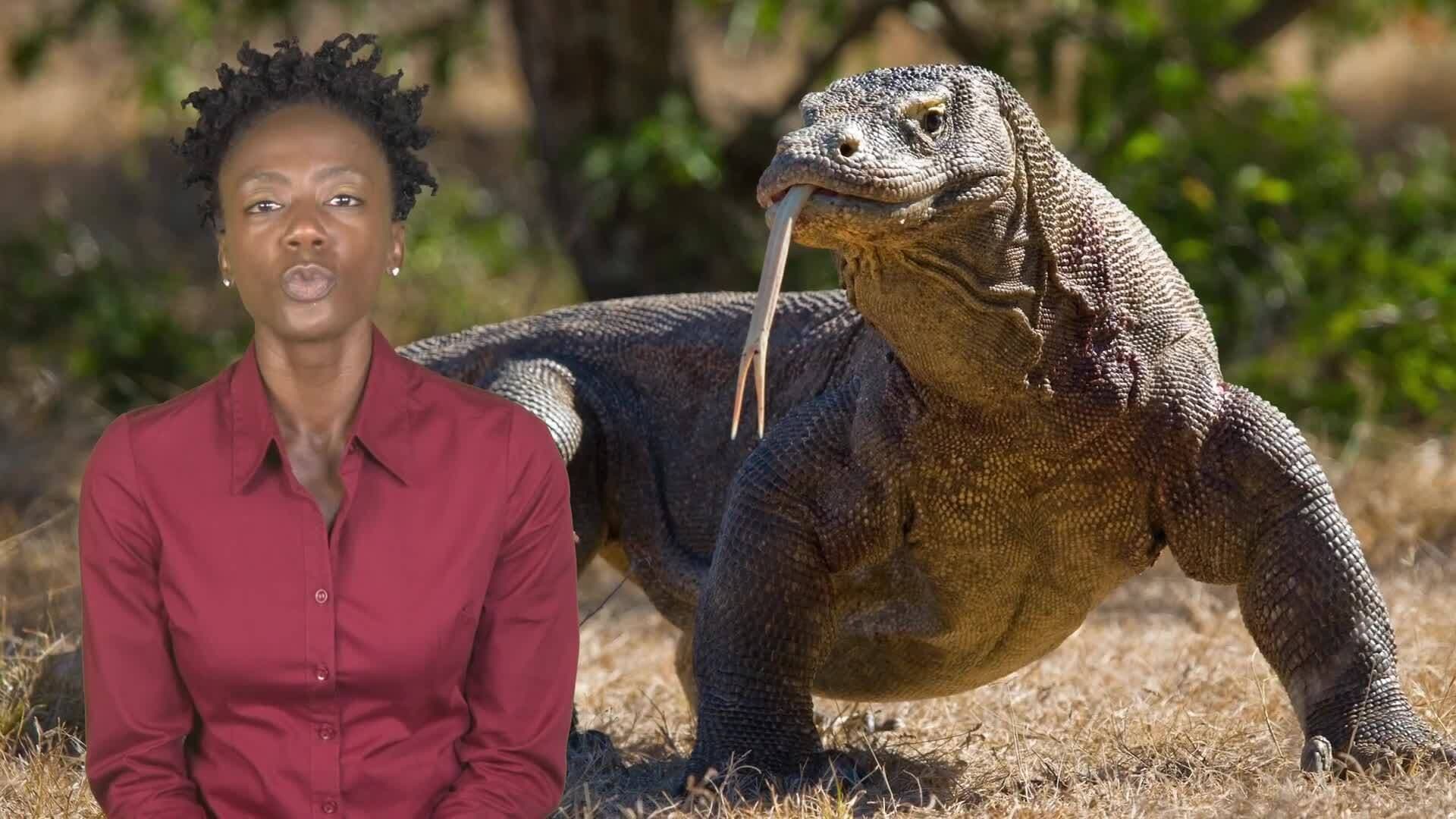 Lizards: Nature's Hidden Helpers
