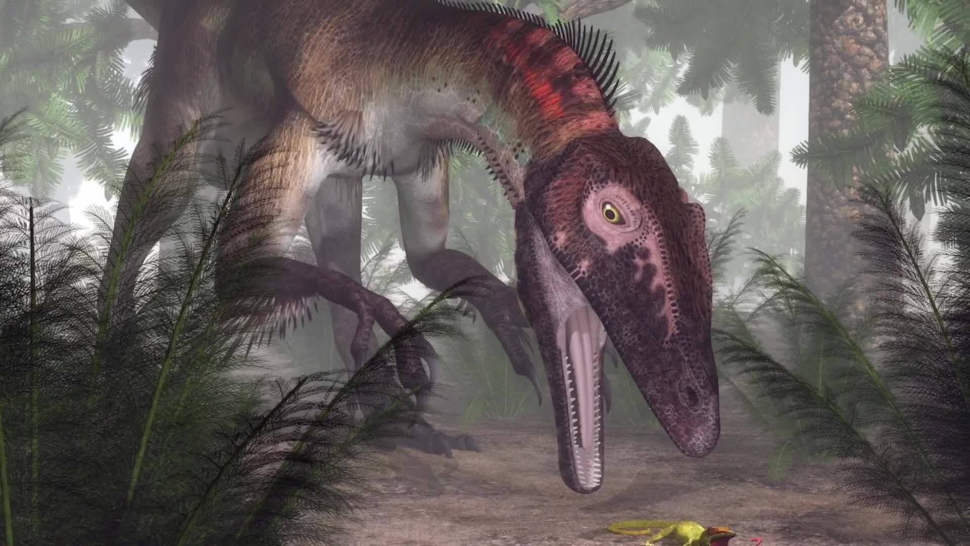 Meet the Utahraptor: Fierce Predator of the Cretaceous