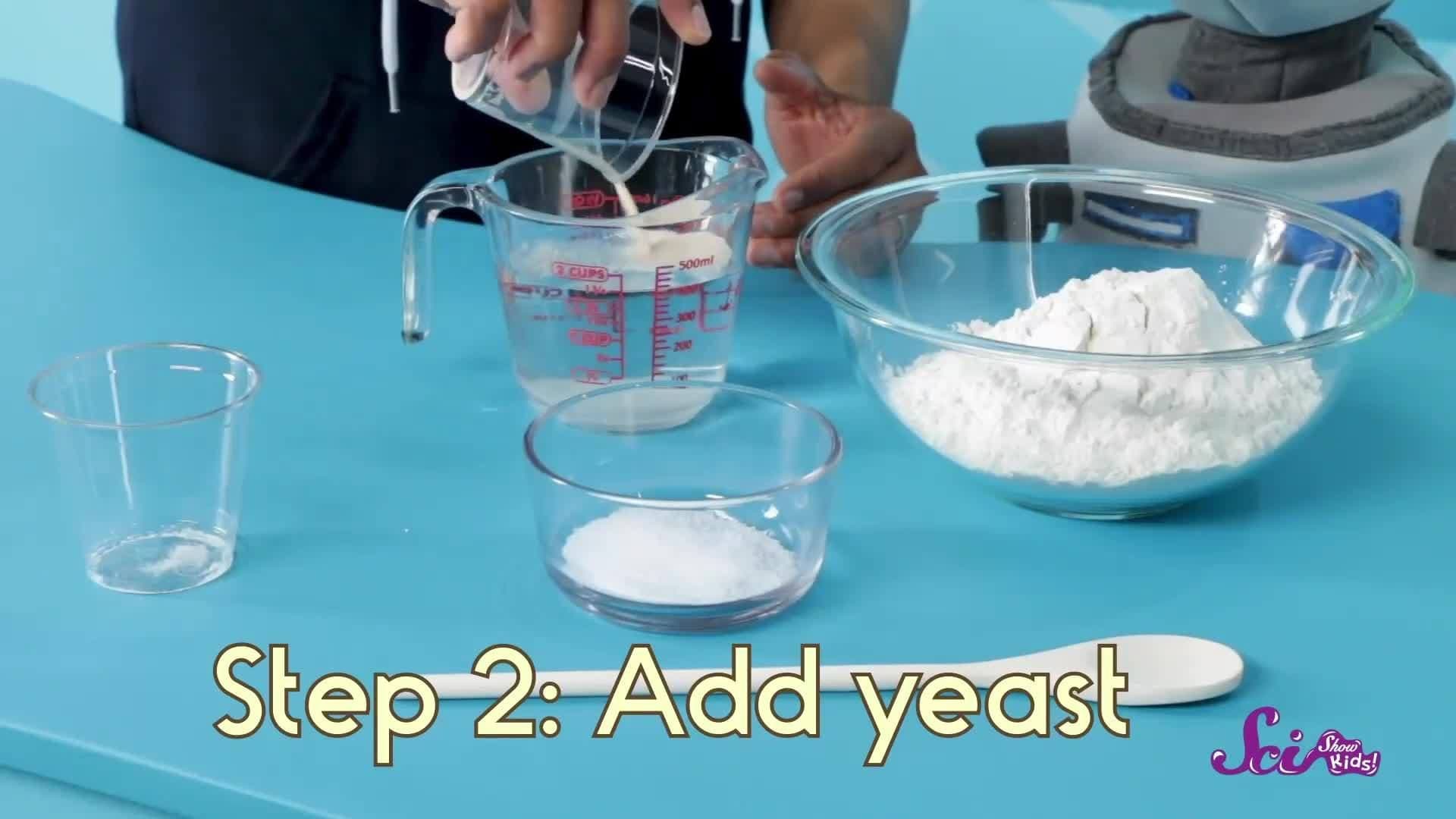 Why Does Bread Have Holes In It? | SciShow Kids