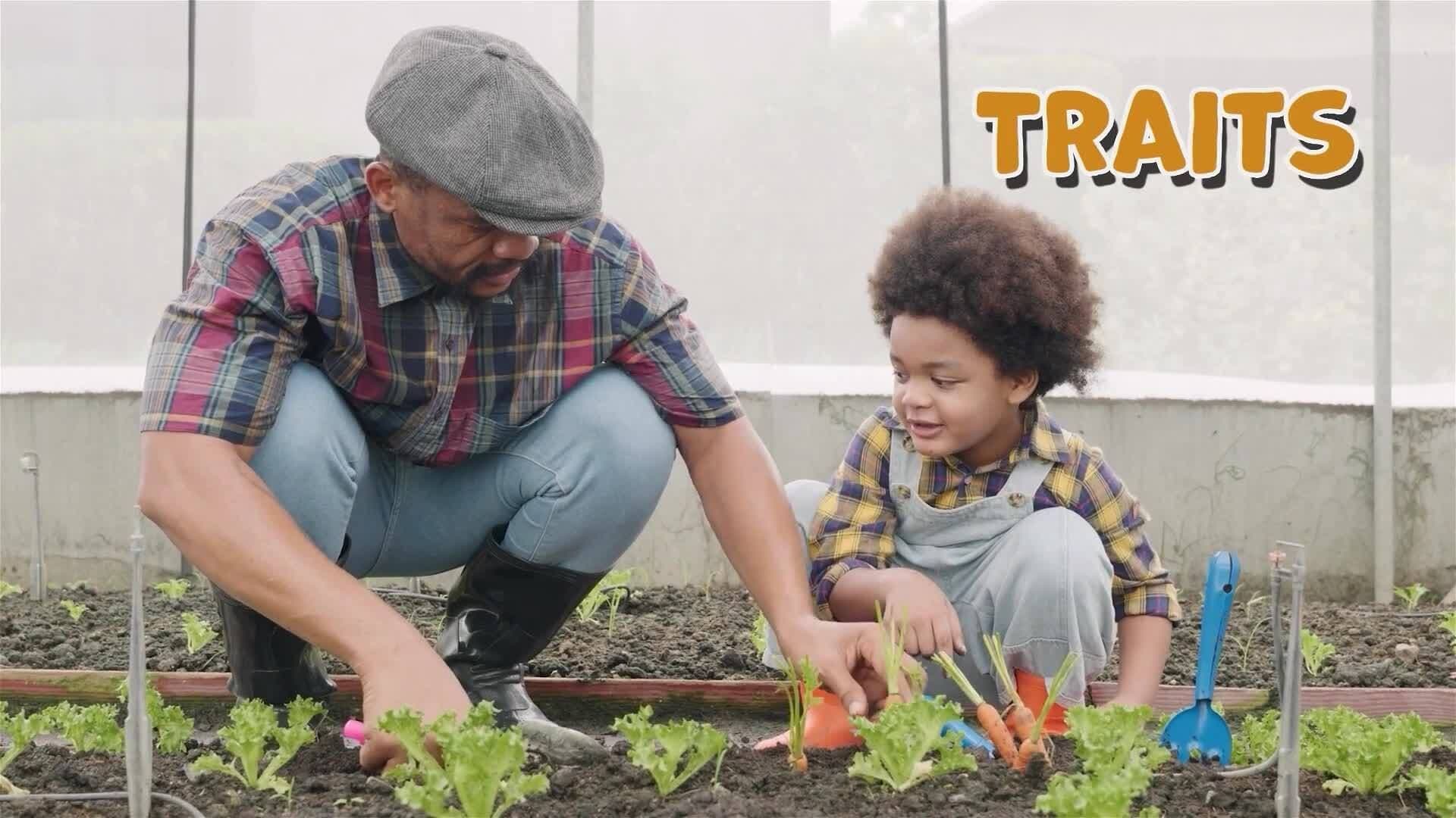 I WONDER - What Are Human Traits?