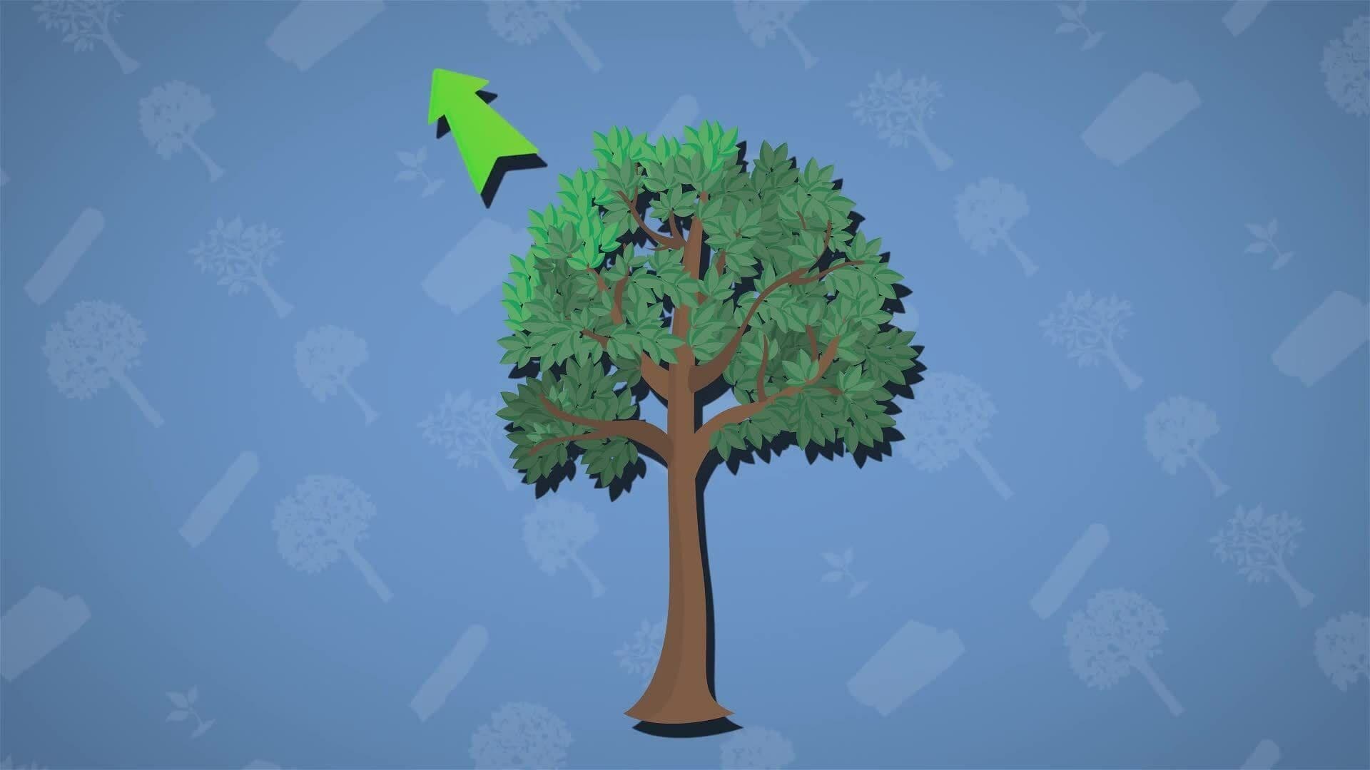I WONDER - How Does Deforestation Contribute To Global Warming?