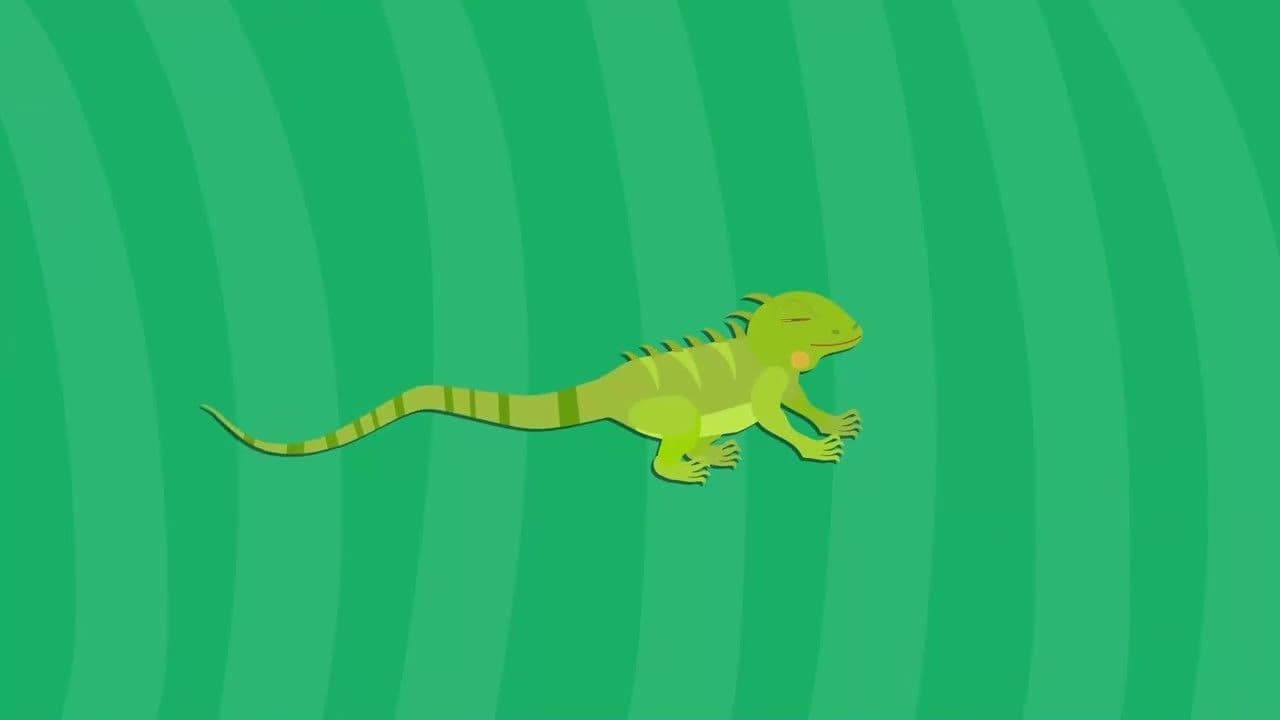 I WONDER - How Do Lizards Escape From Their Predators?