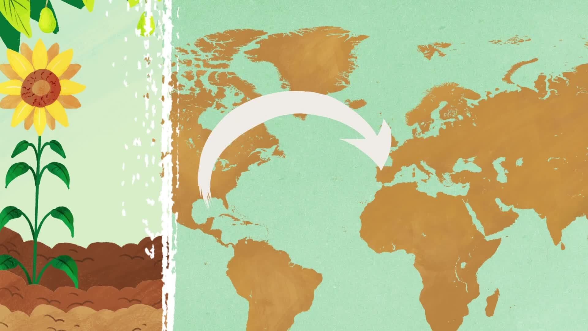 Columbian Exchange