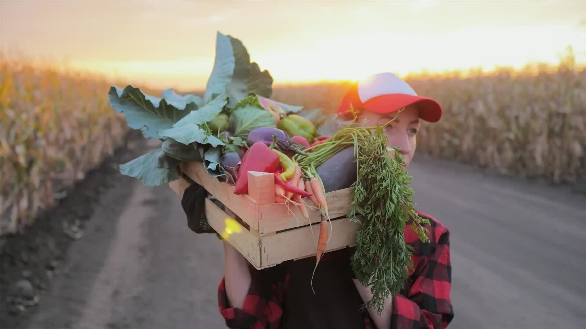 I WONDER - How Does Food Waste Affect The Carbon Footprint?