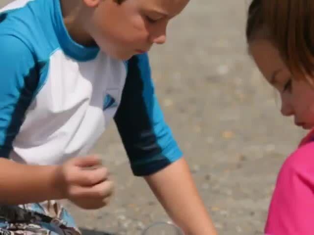 Kids at the beach