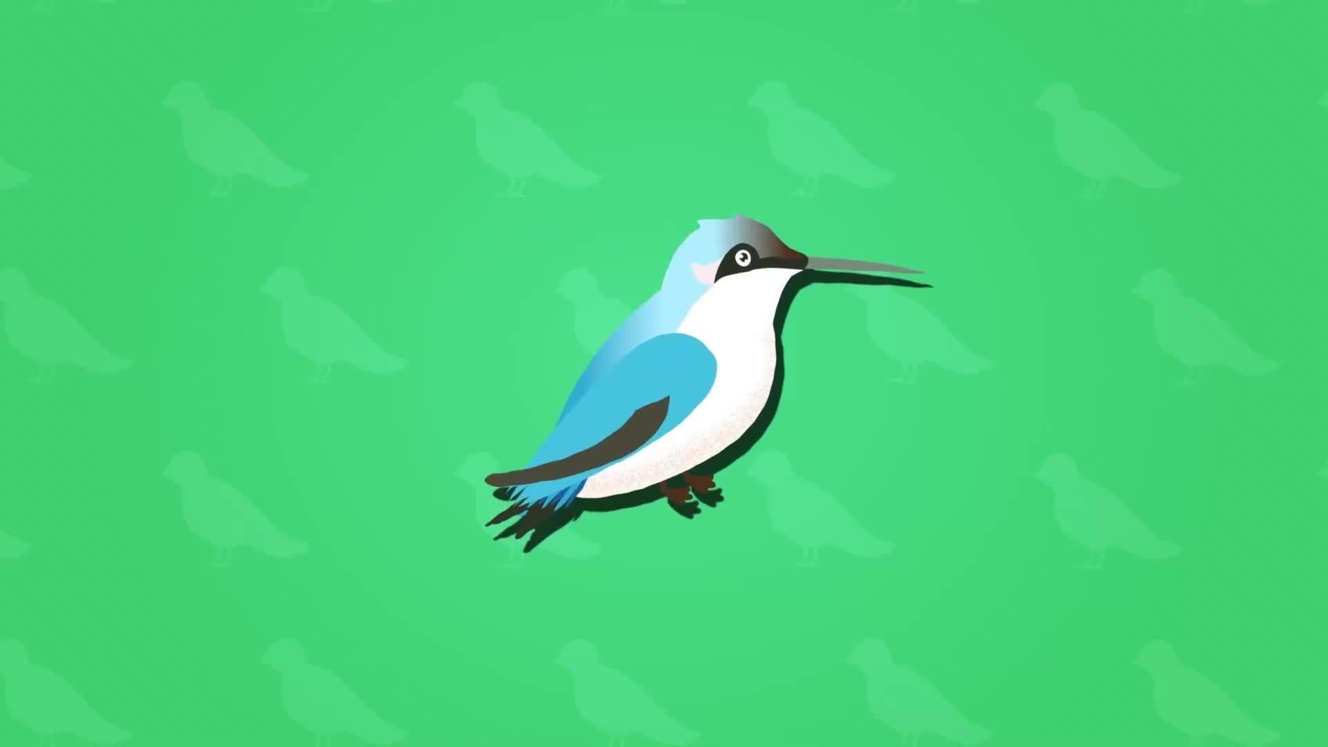 I WONDER - What Is The Smallest Bird In The World?