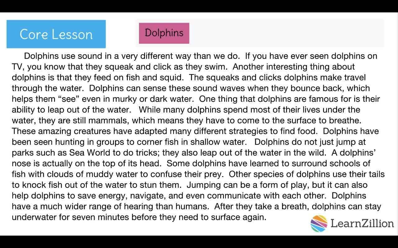 Organizing Ideas into Paragraphs for Clear Writing