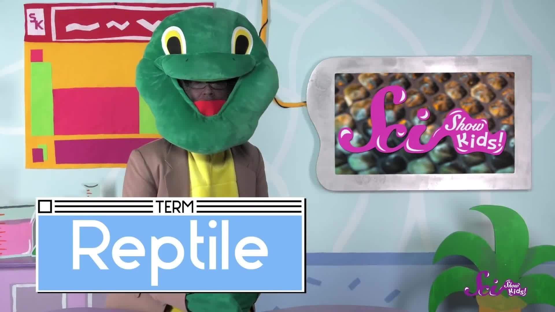 Turtle Time with Dr. Turtleman!