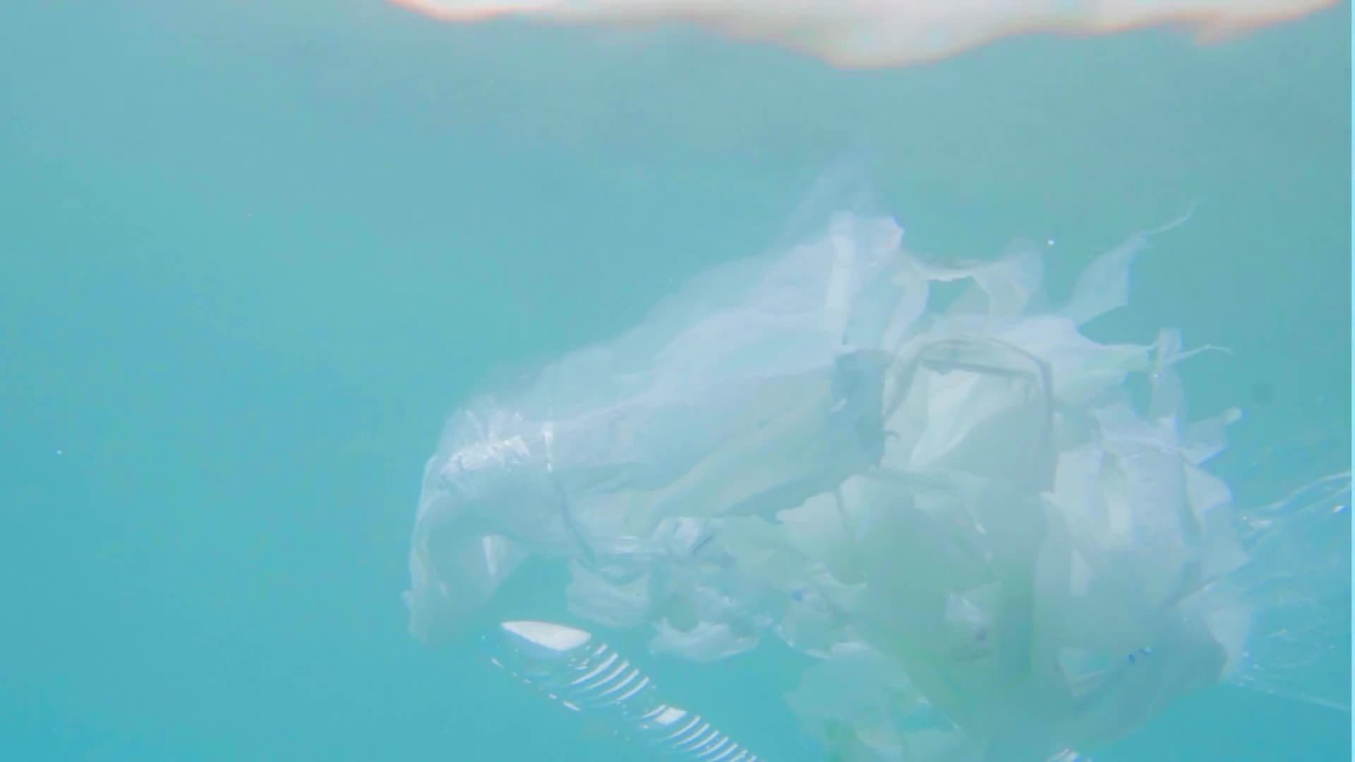 Cring Oceans