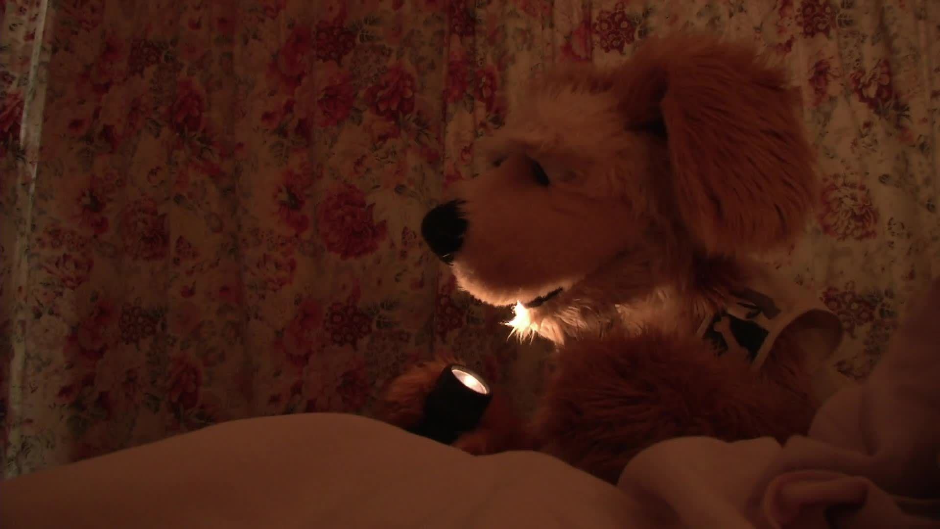 Flash: Glow Worms