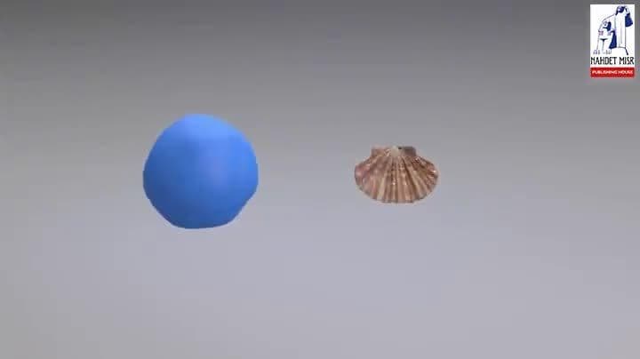 A model of mold