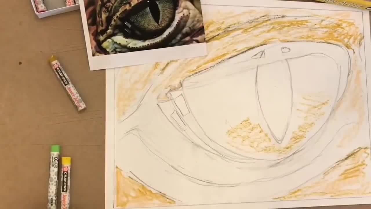 Drawing Animal Eyes in Oil Pastel
