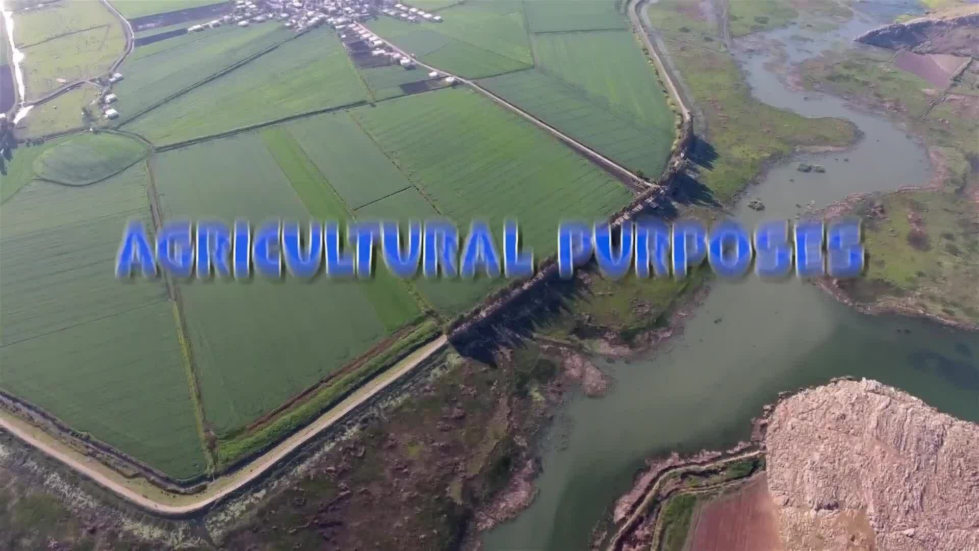 I WONDER - What Are Marshes Used For?