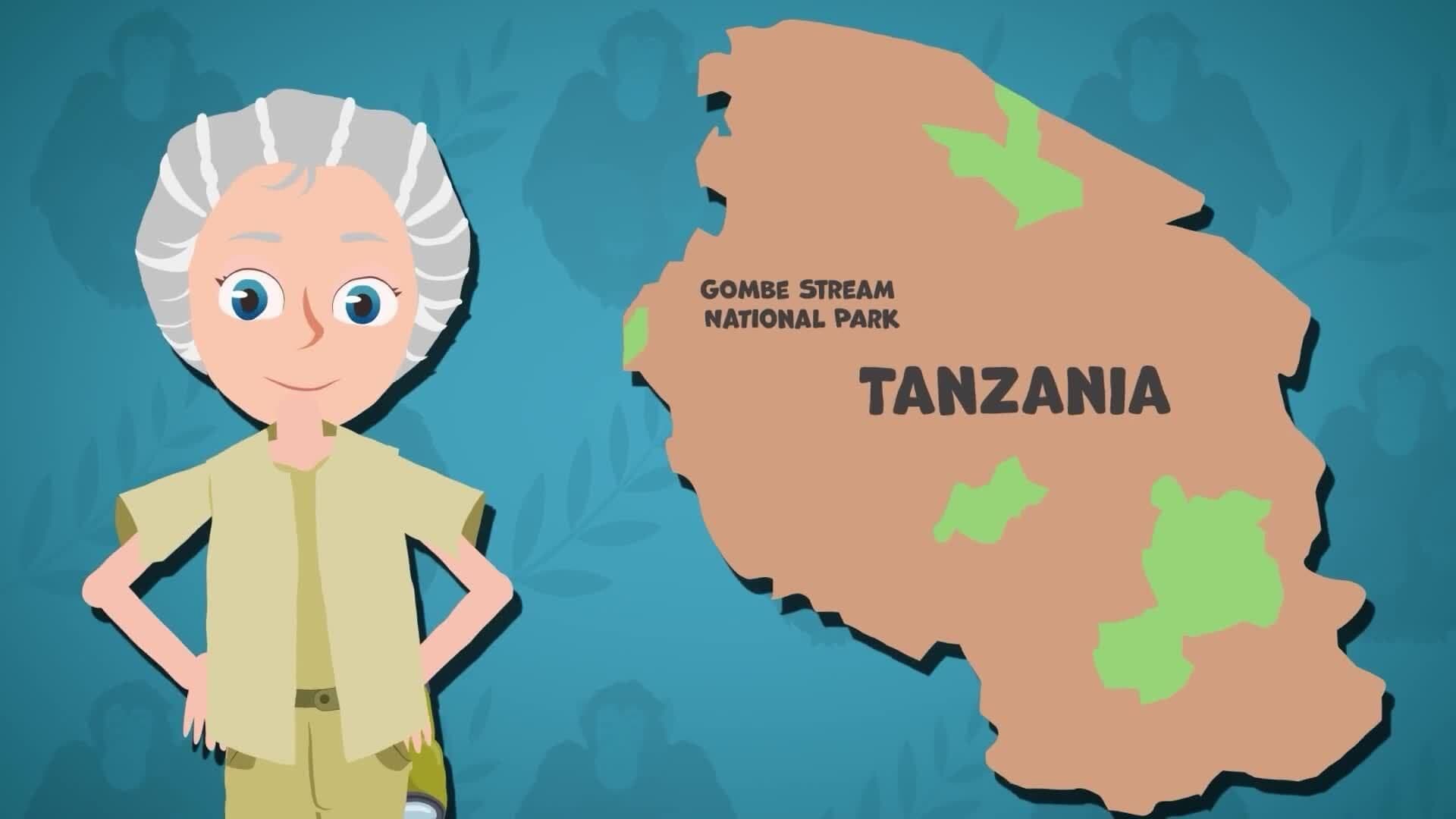I WONDER - What Did Jane Goodall Discover?