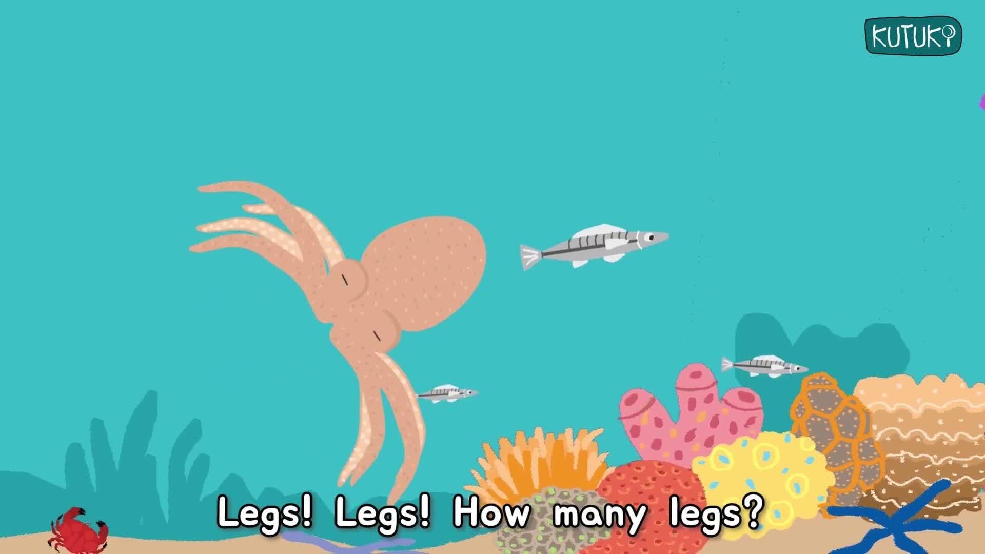 How many legs do Animals have? 