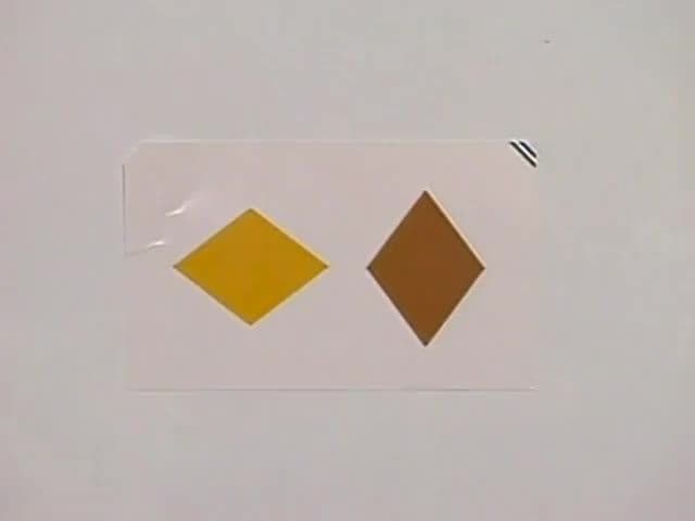 Shapes & Colors: Colors and shapes in different combinations
