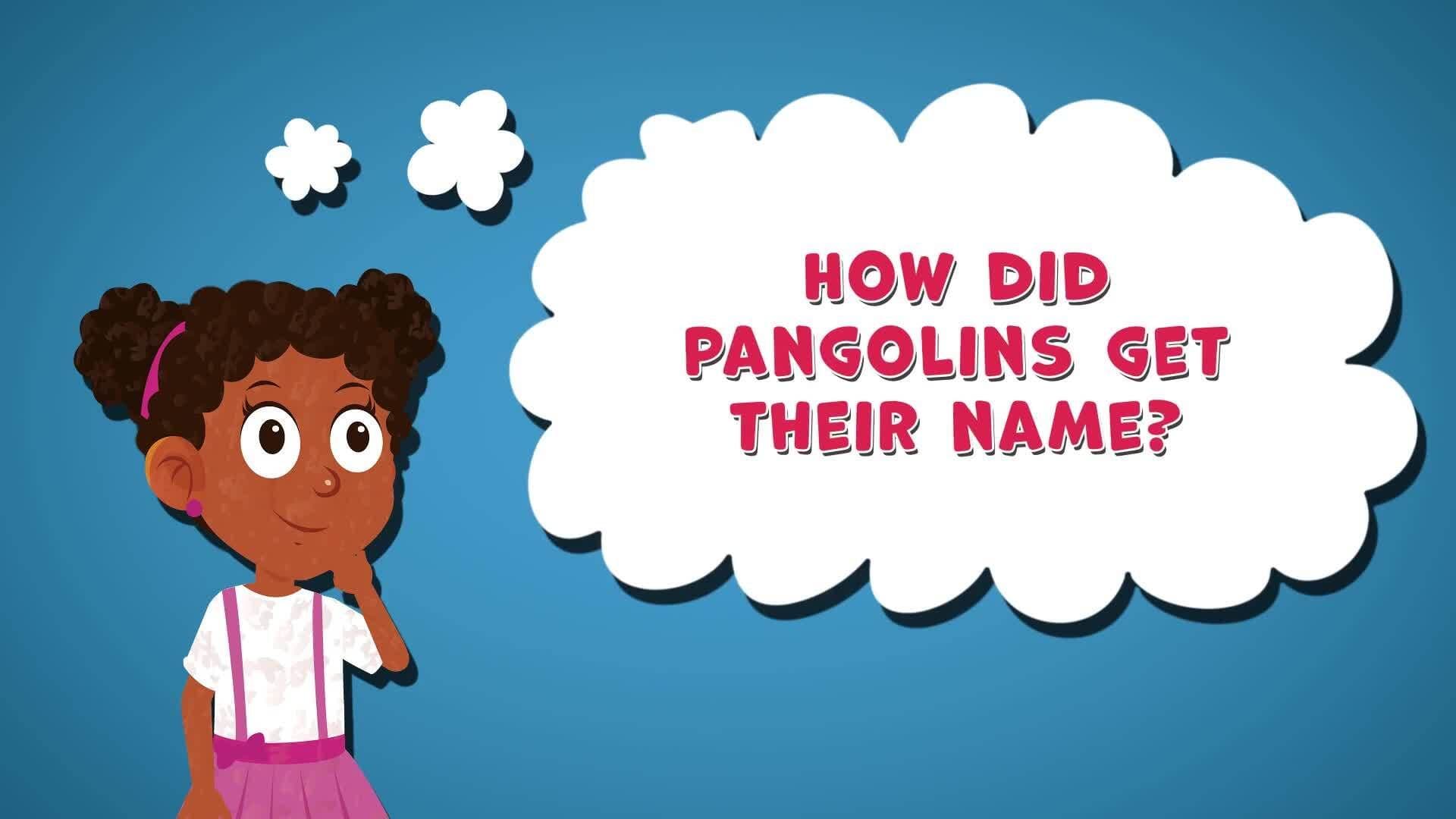I WONDER - How Did Pangolins Get Their Name?