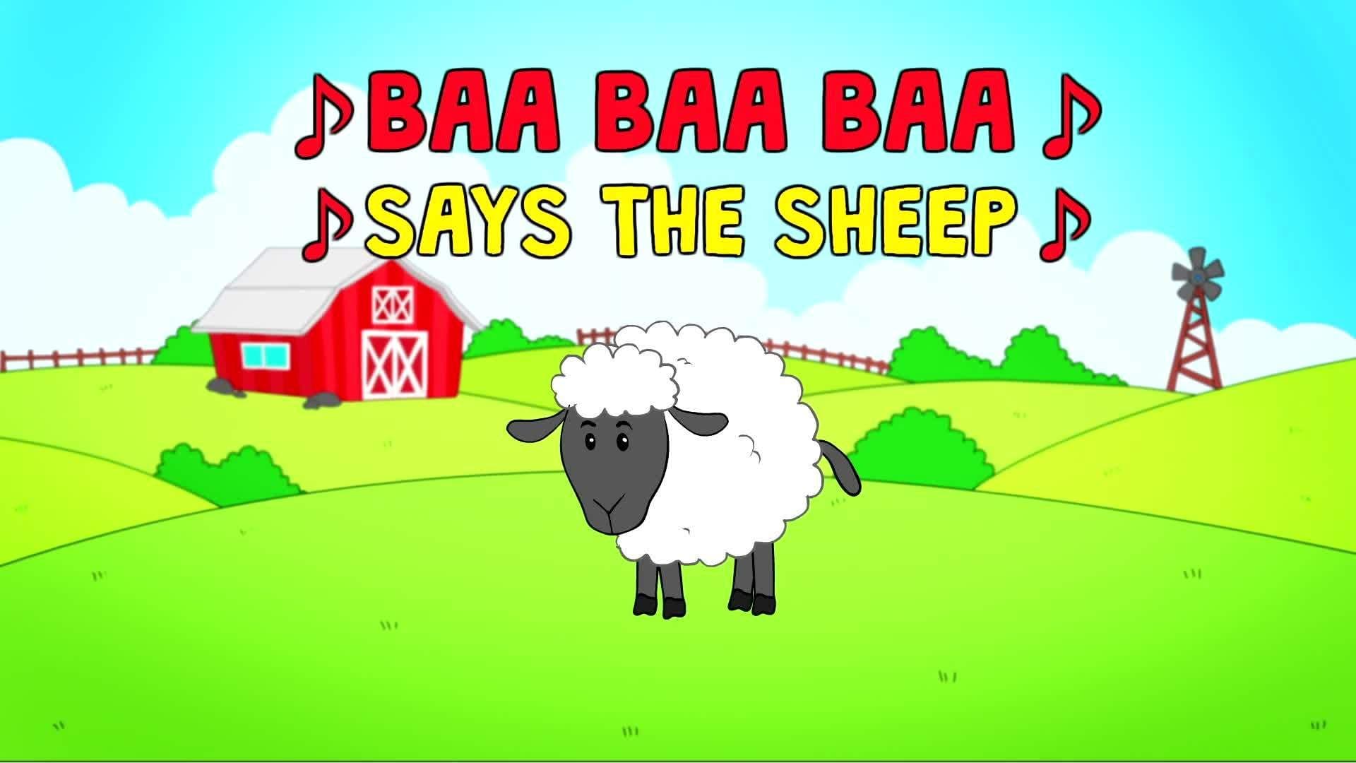 Animal Sounds Song