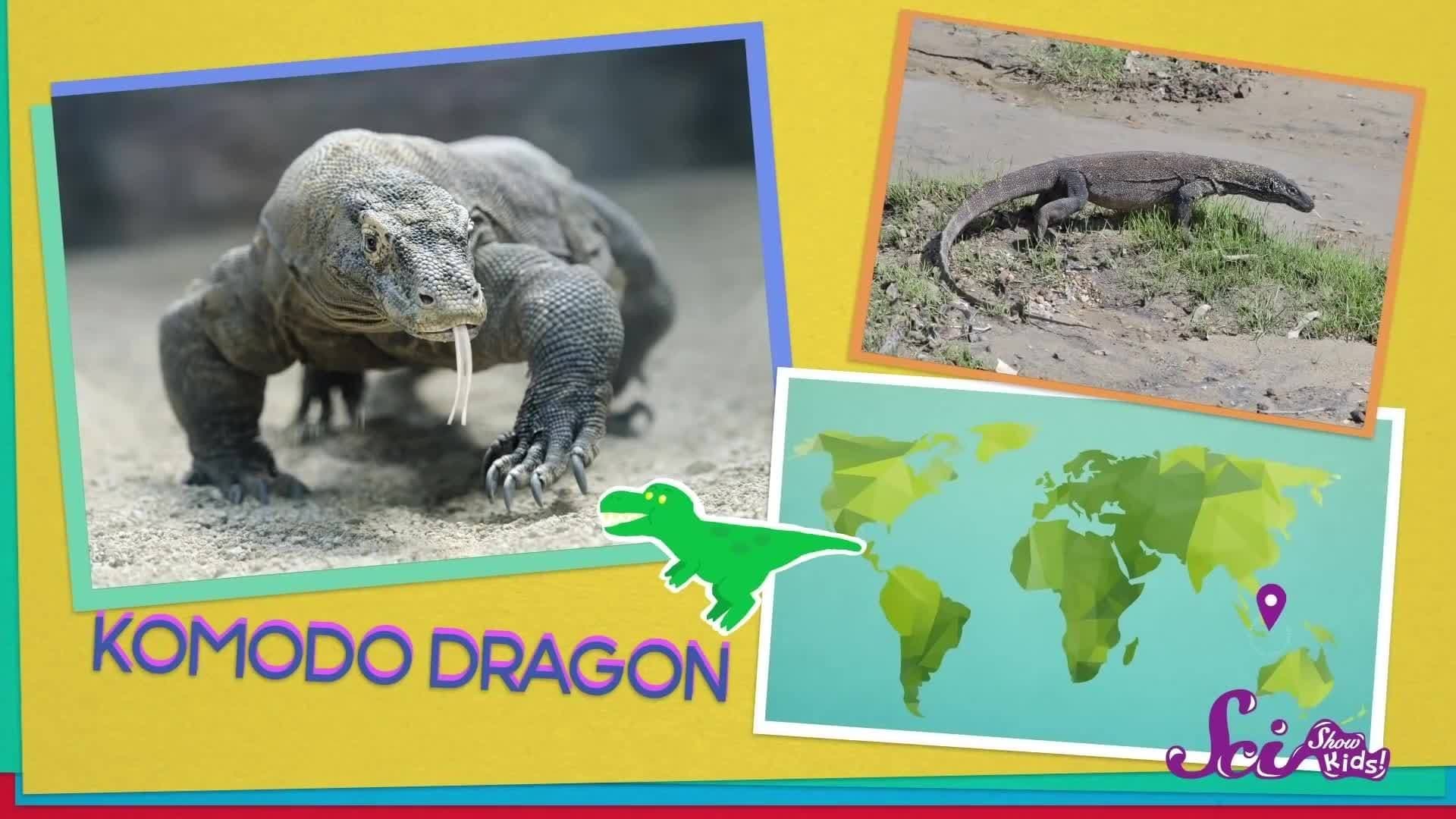 Get to Know a Dinosaur!