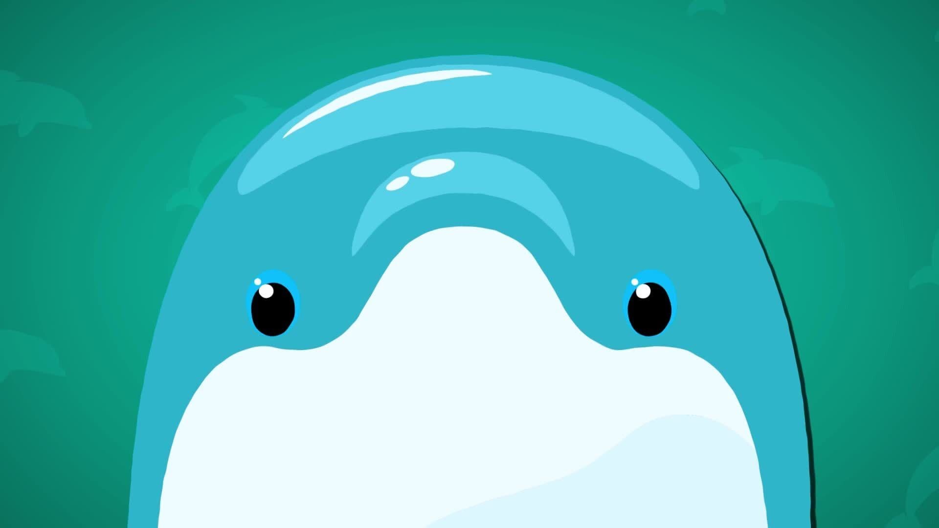 High Five Facts - Dolphins