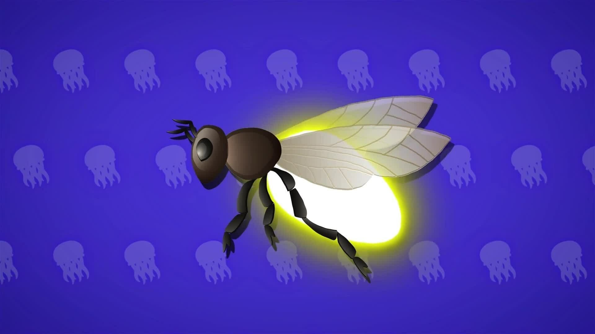 I WONDER - Are There Any Bioluminescent Insects?
