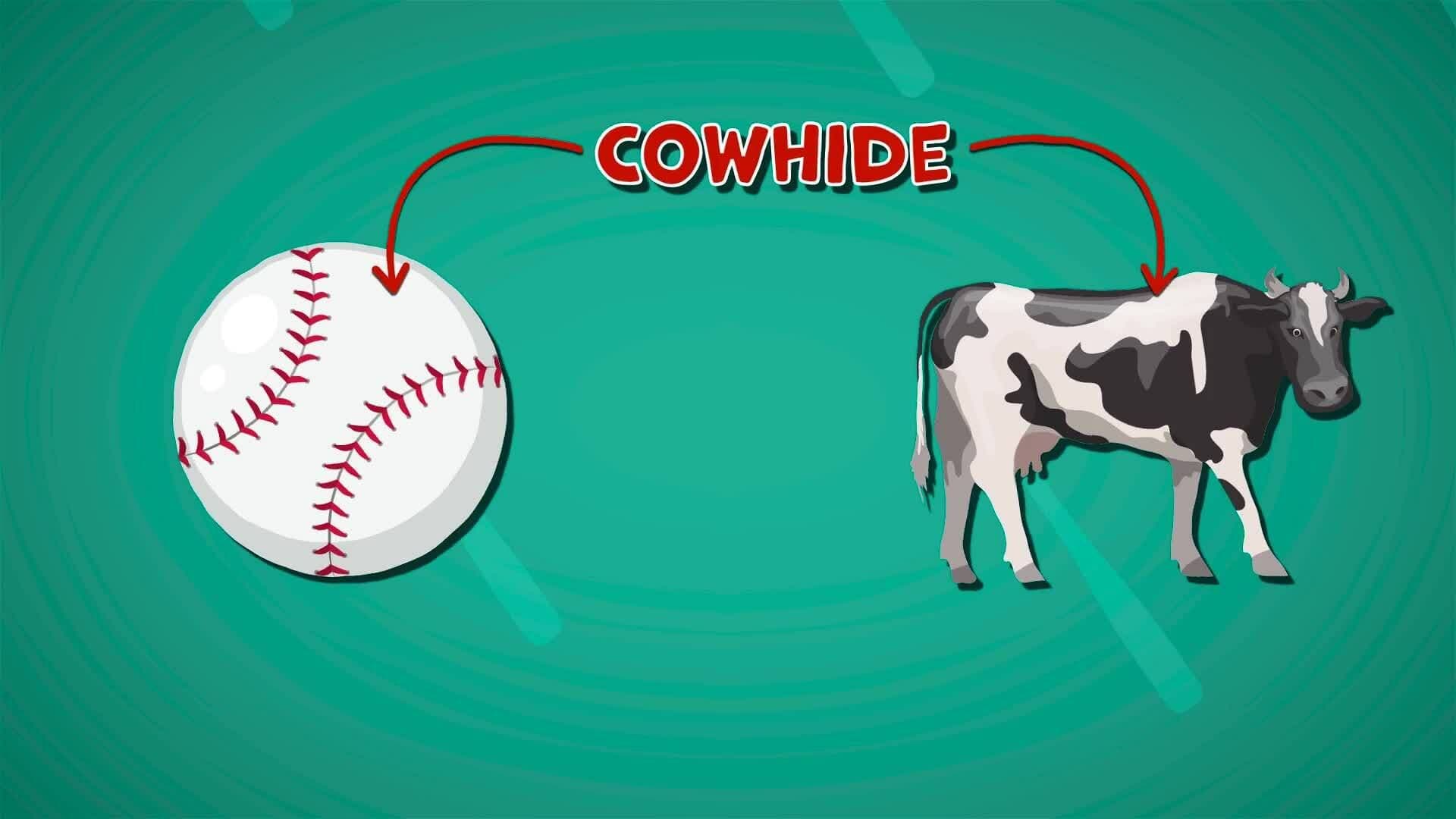 I WONDER - How Is A Baseball Made?