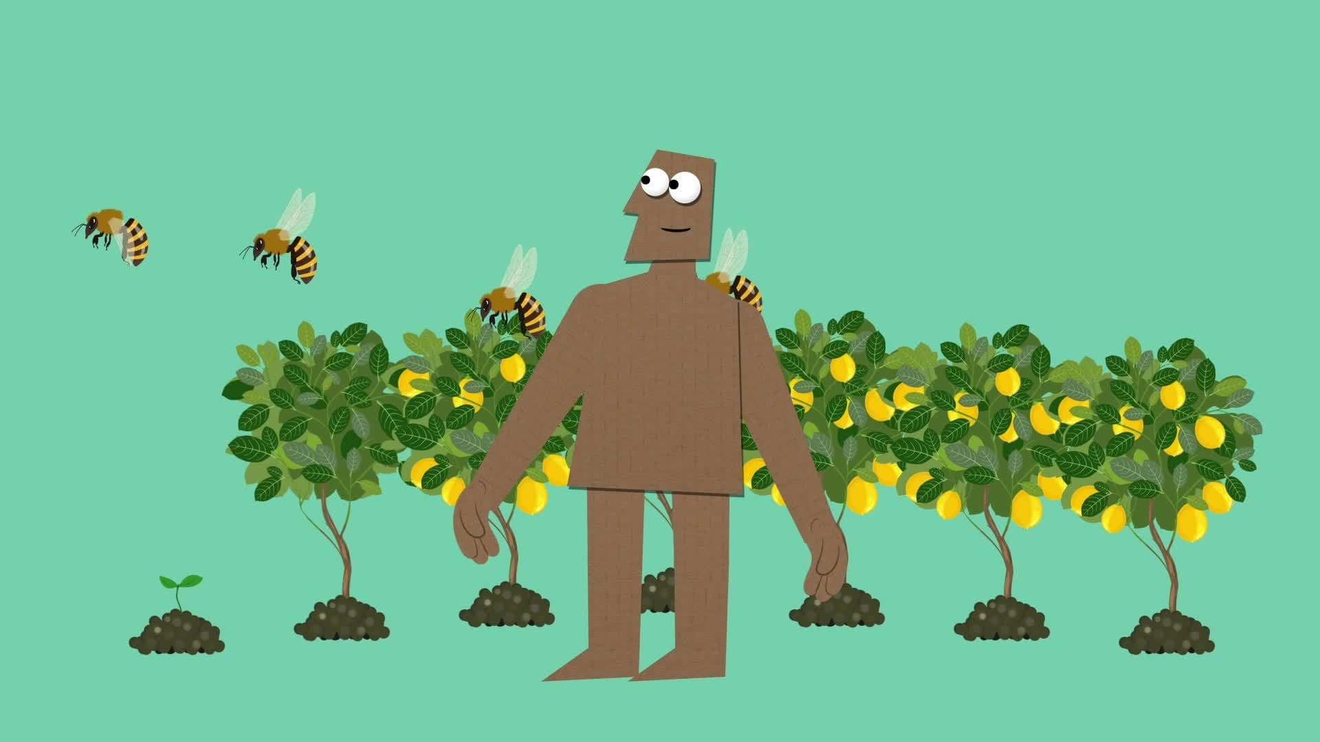 UN Global Goal 15: Life on Land (Ages 11 - 17)