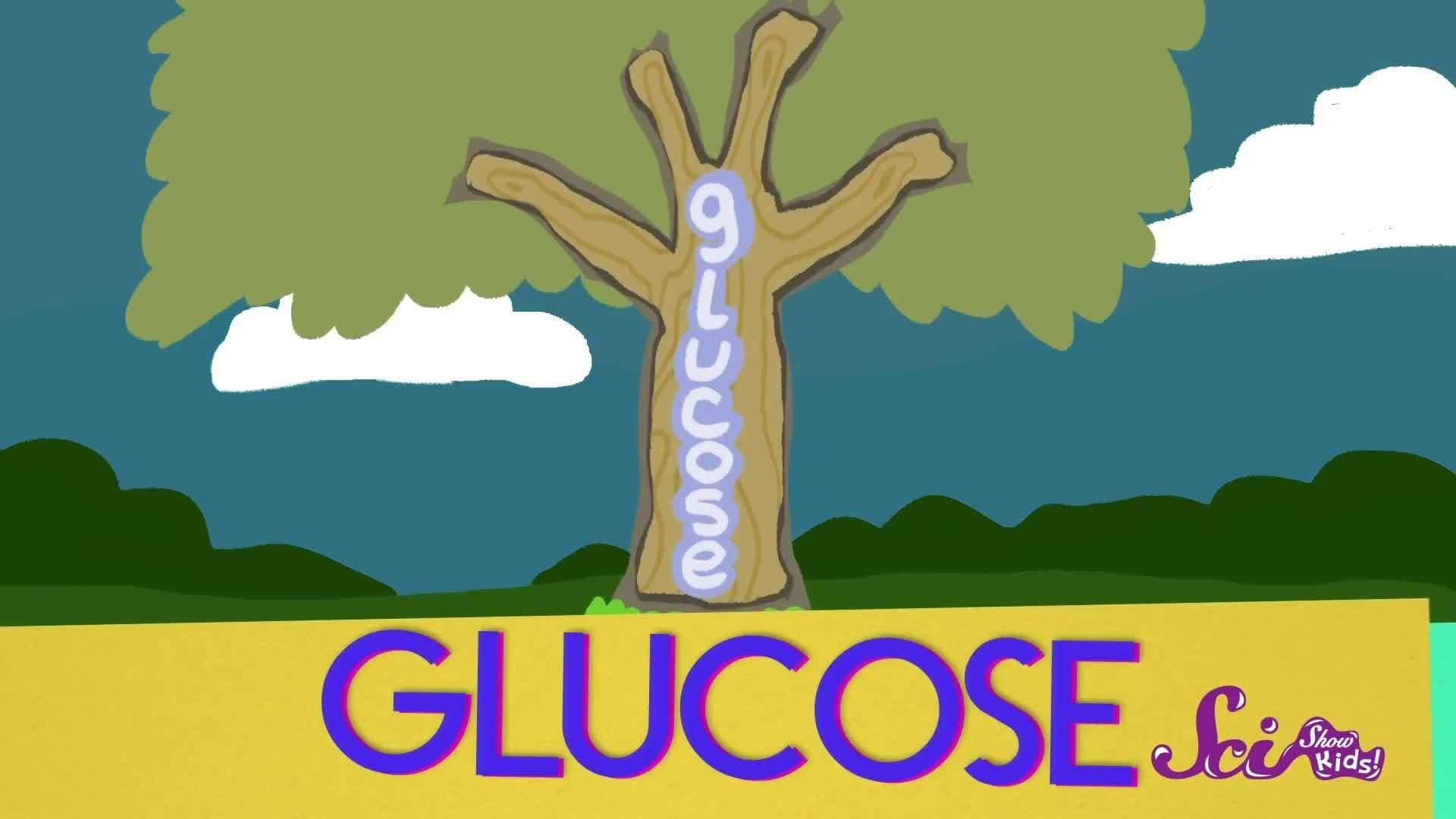 Where Does Sugar Come From? Science for Kids