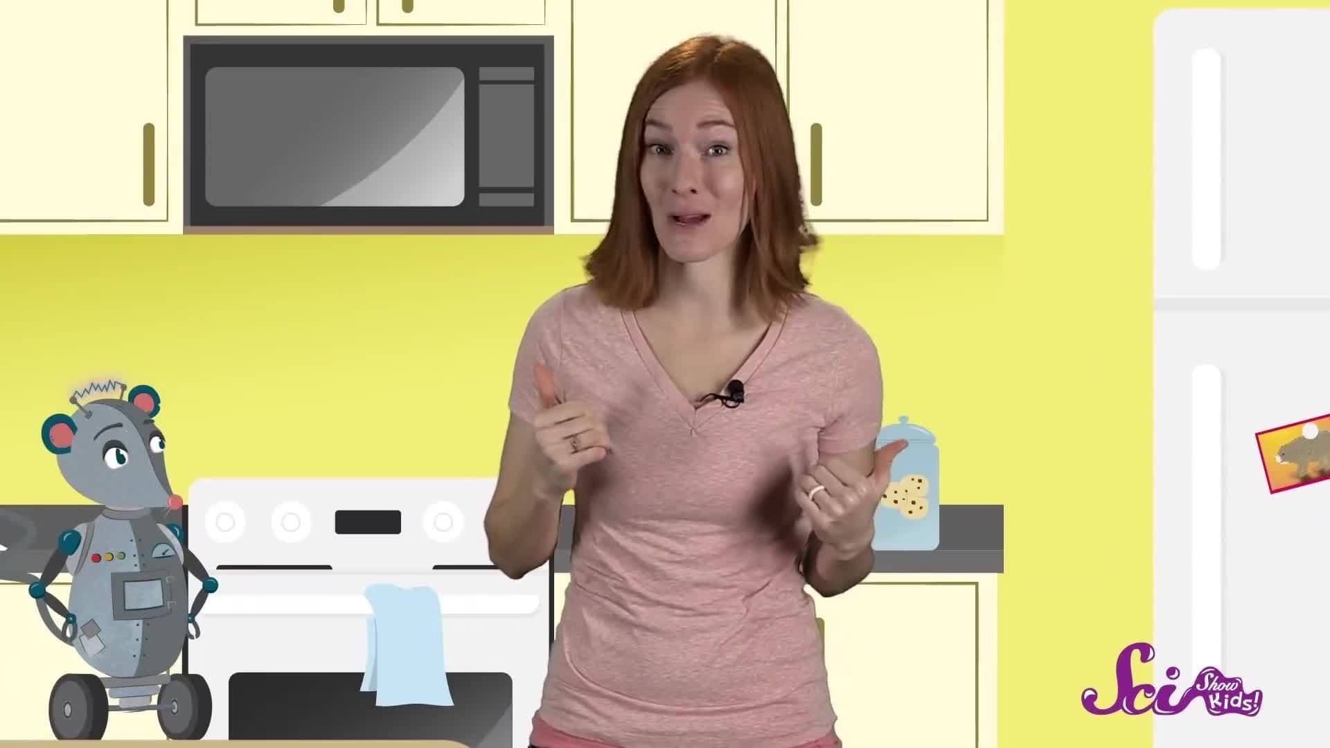 How Recycling Works!