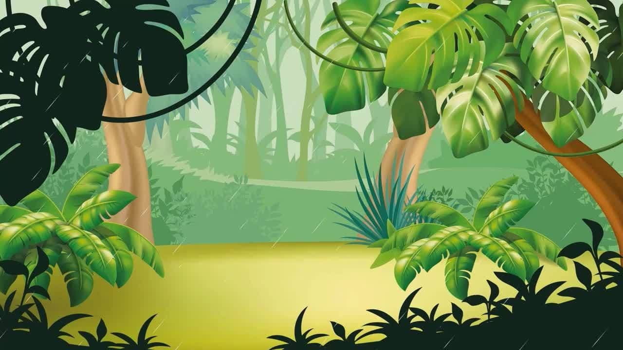 I WONDER - How Many Animals Live In The Rainforest?