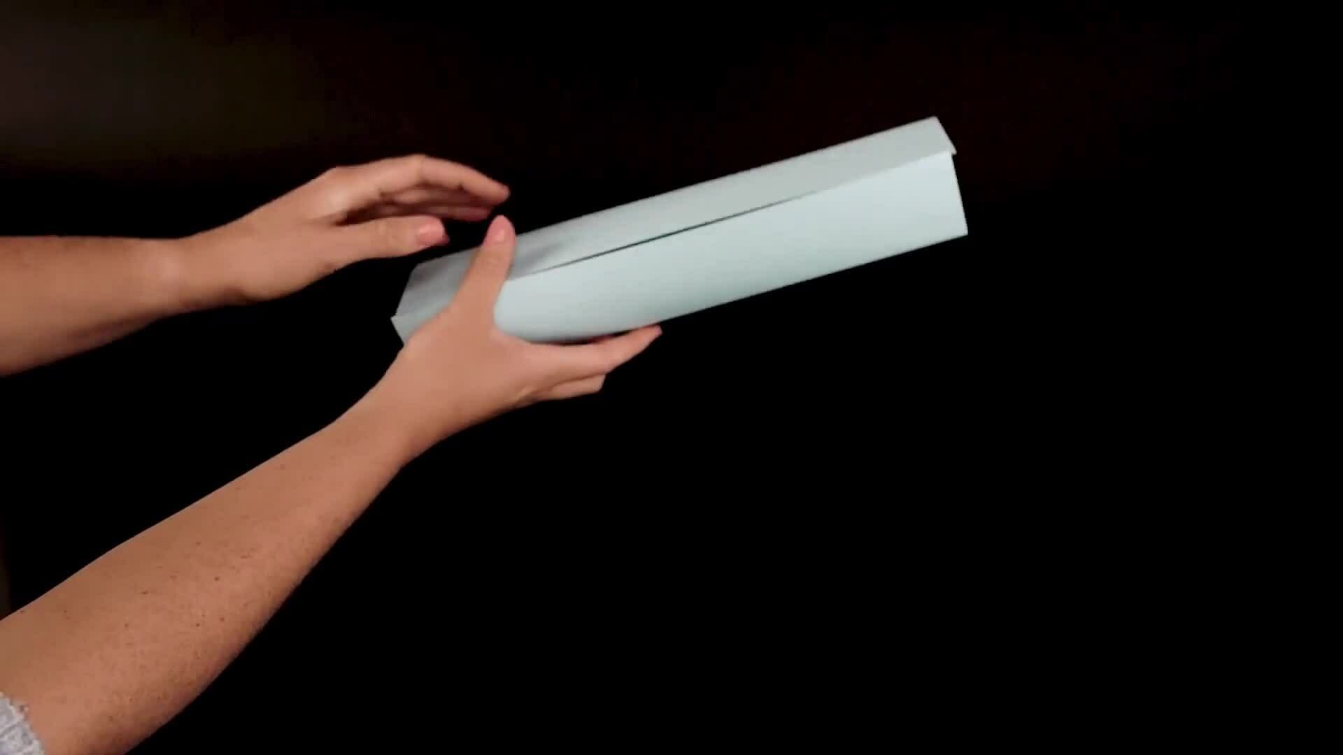 Inertia Experiment - Newton's First Law