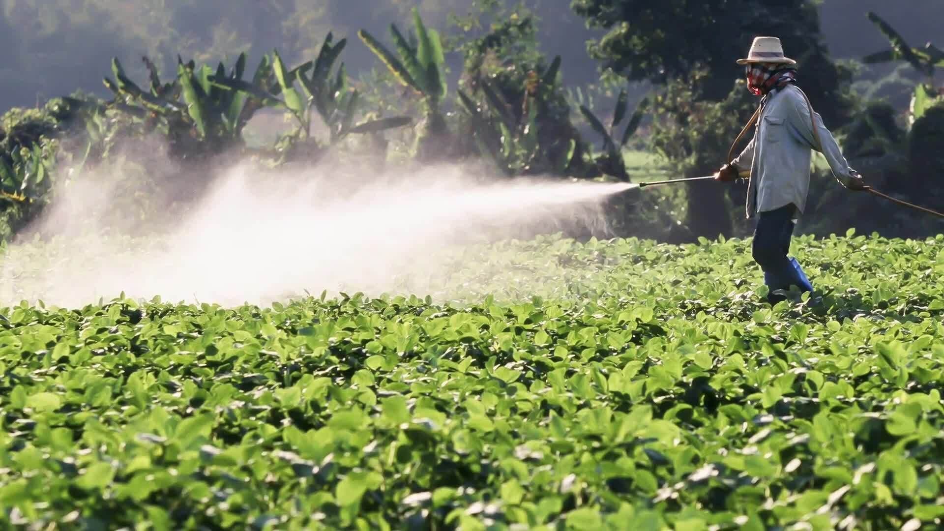 The Anthropocene Epoch: Humanity's Impact on Earth