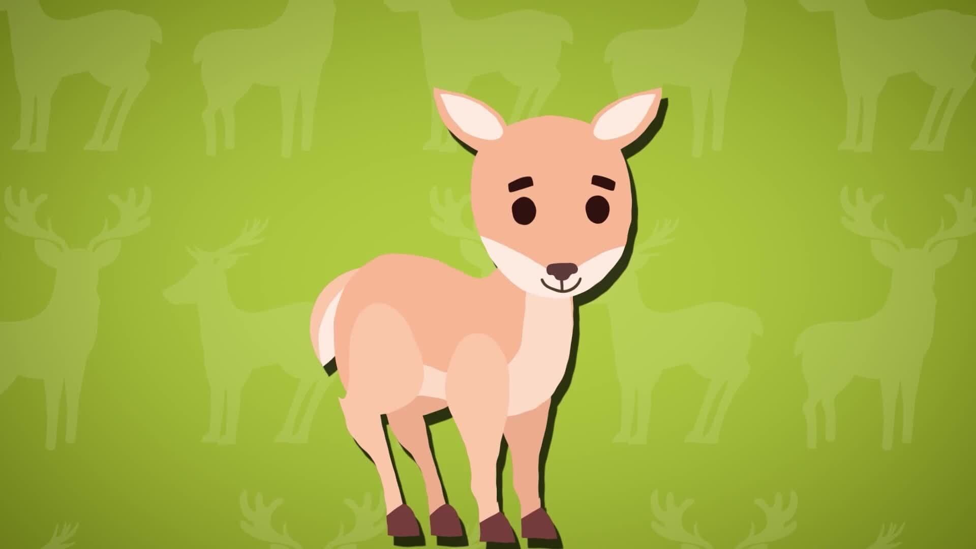 I WONDER - How Long Does It Take A Baby Reindeer To Walk?