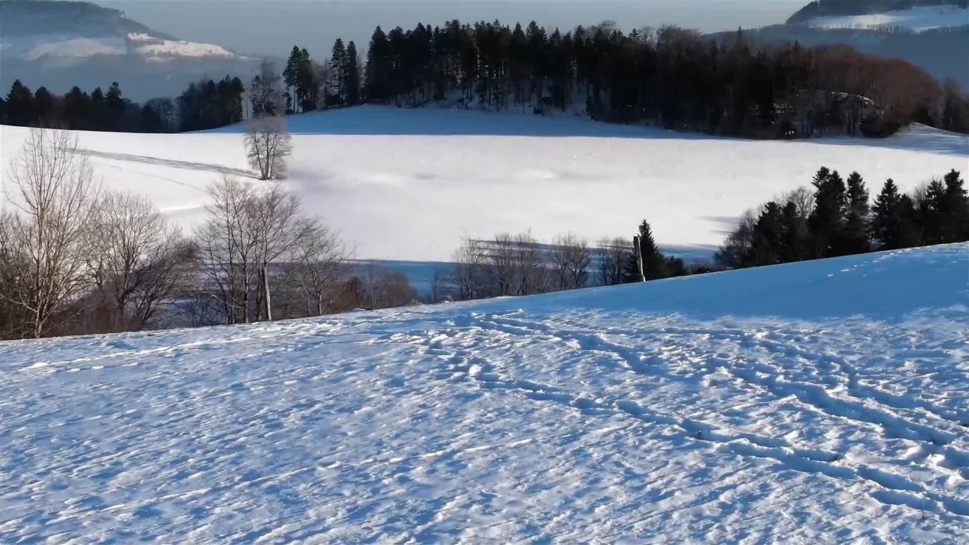I WONDER - Is Snow Really White?