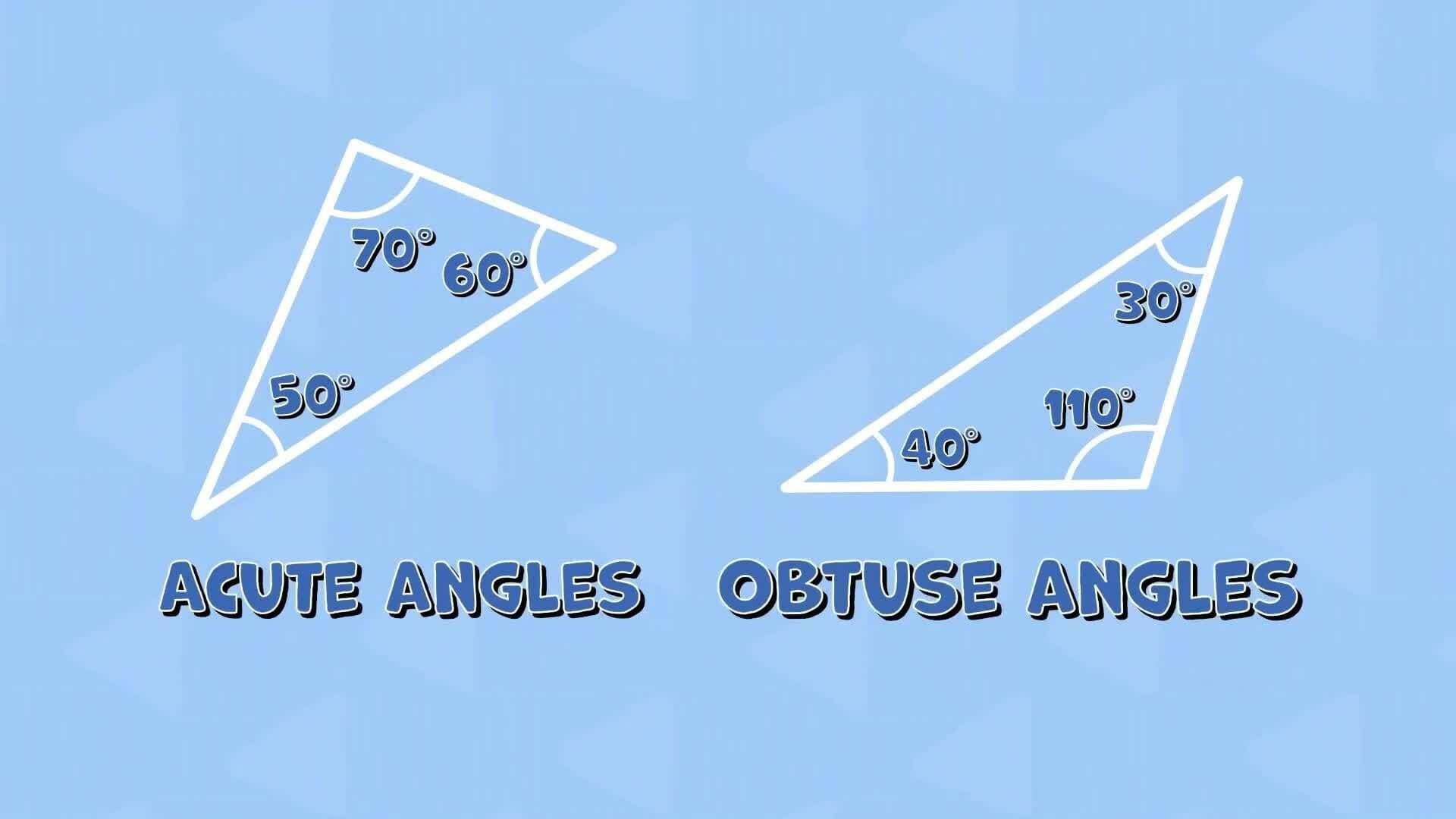 I WONDER - Can Triangles Have Obtuse Angles?