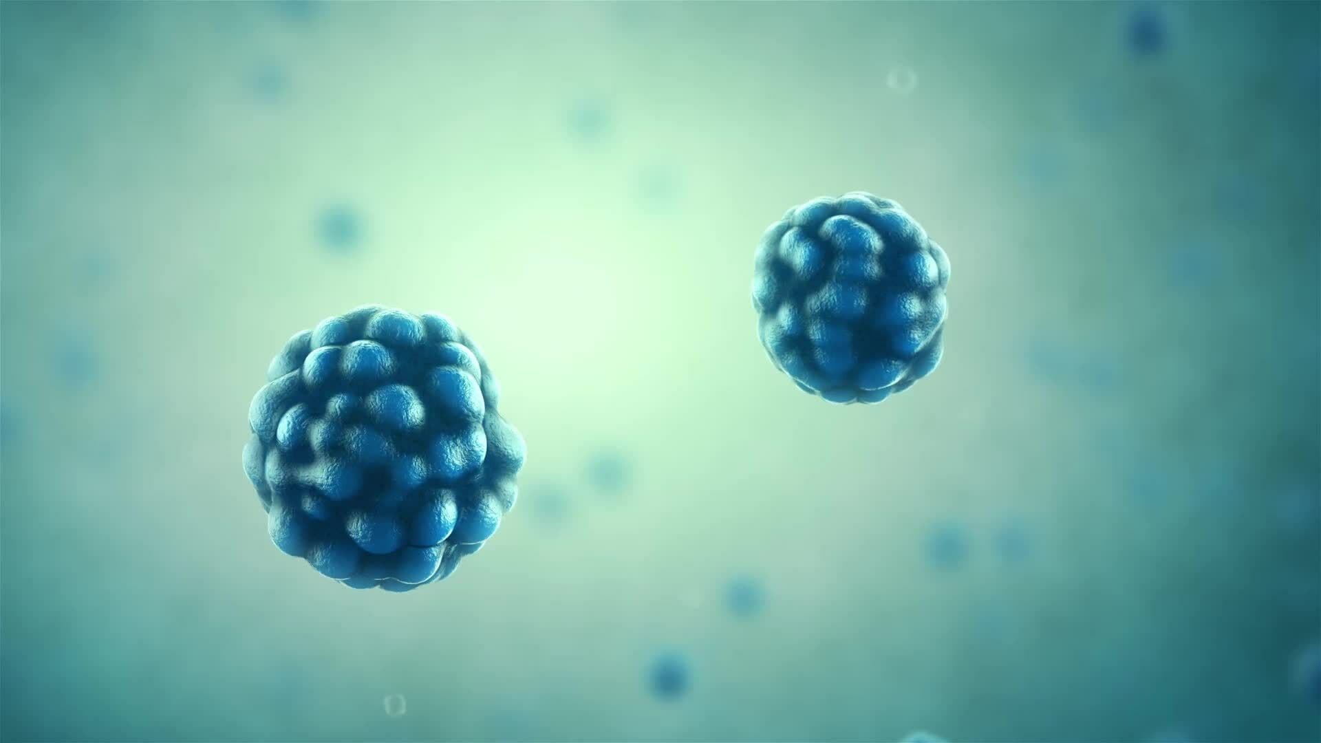 I WONDER - How Long Have Bacteria Been On Earth?