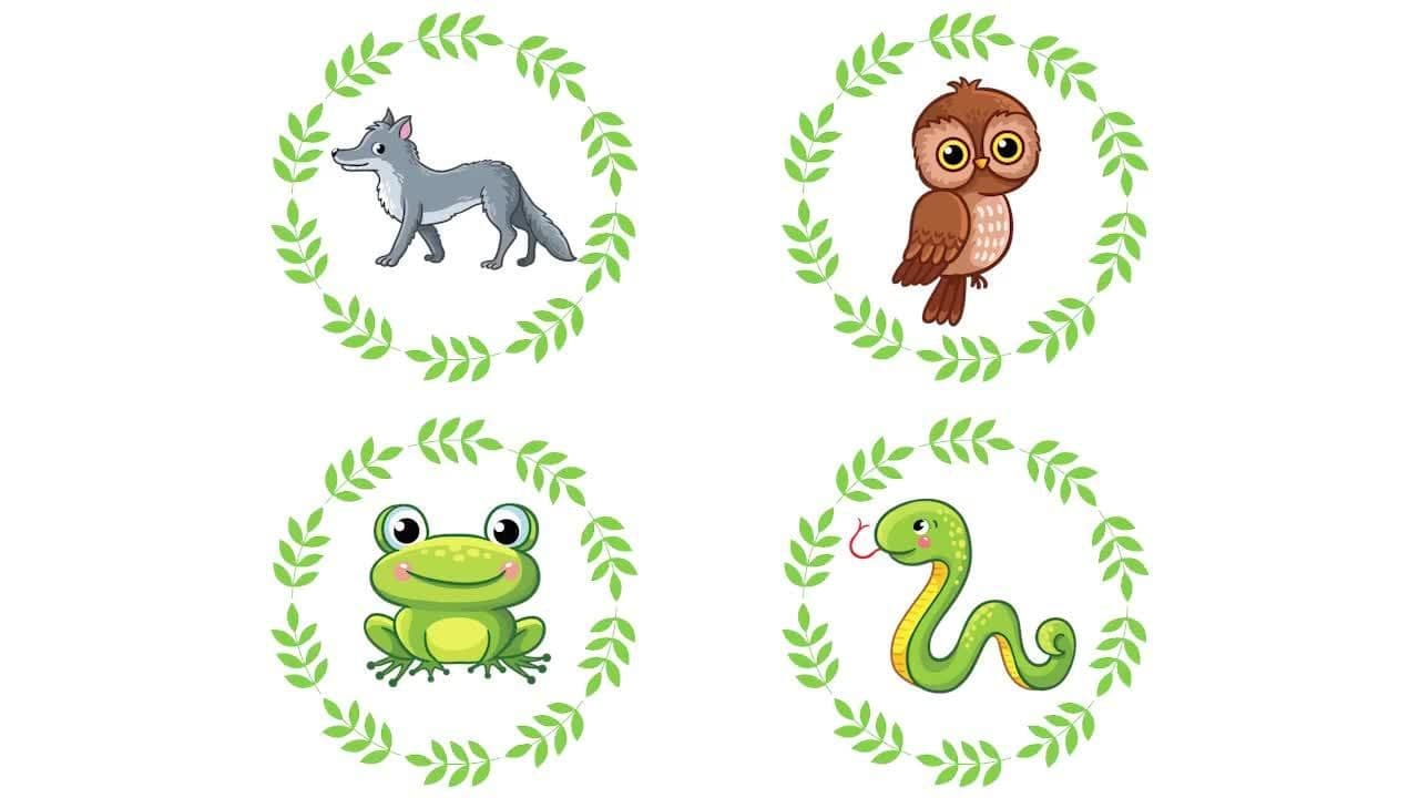 Animal Sounds Songs for Kids | Live! from Kids Learning Videos