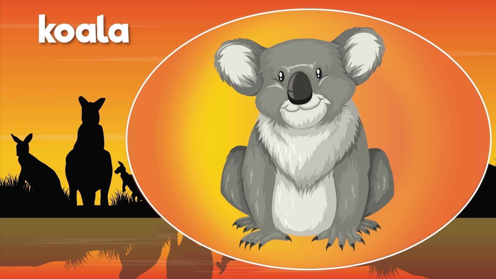 Australian Animals