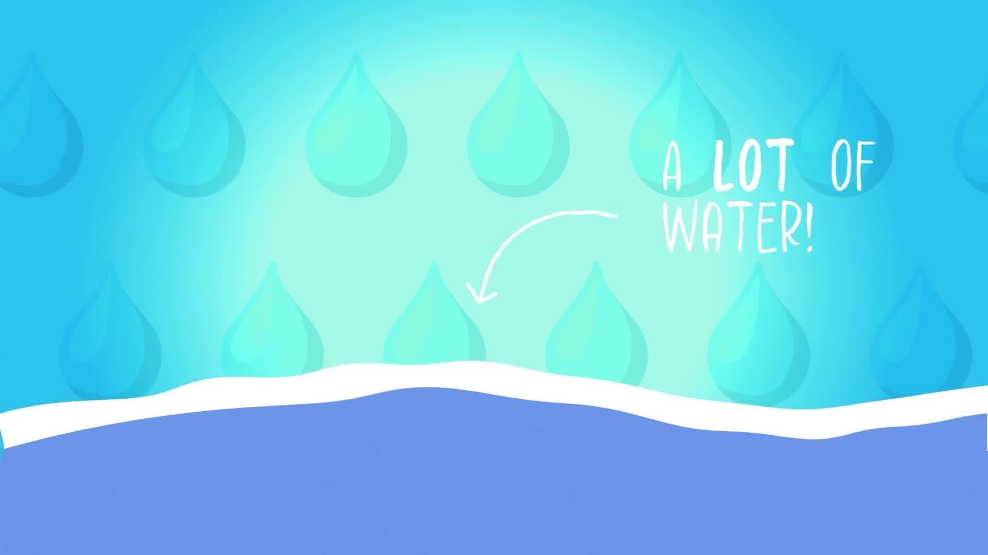Five Facts - Water Waste