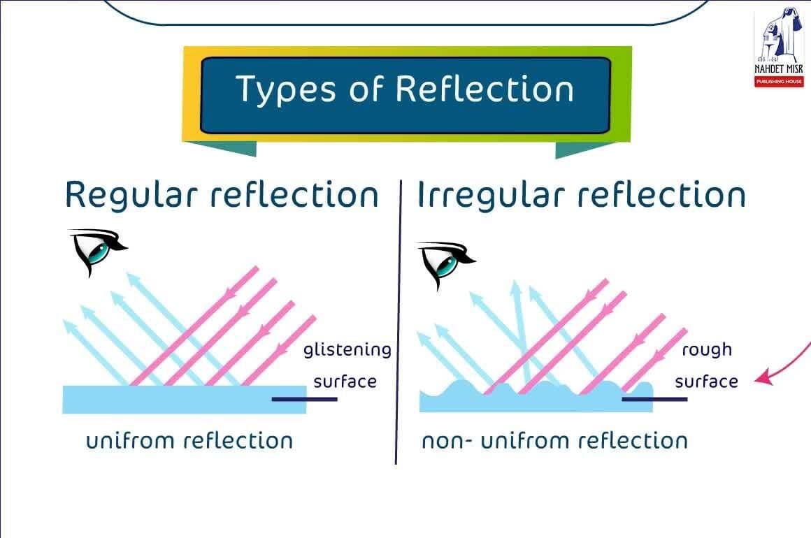 Reflection and Refraction of Light