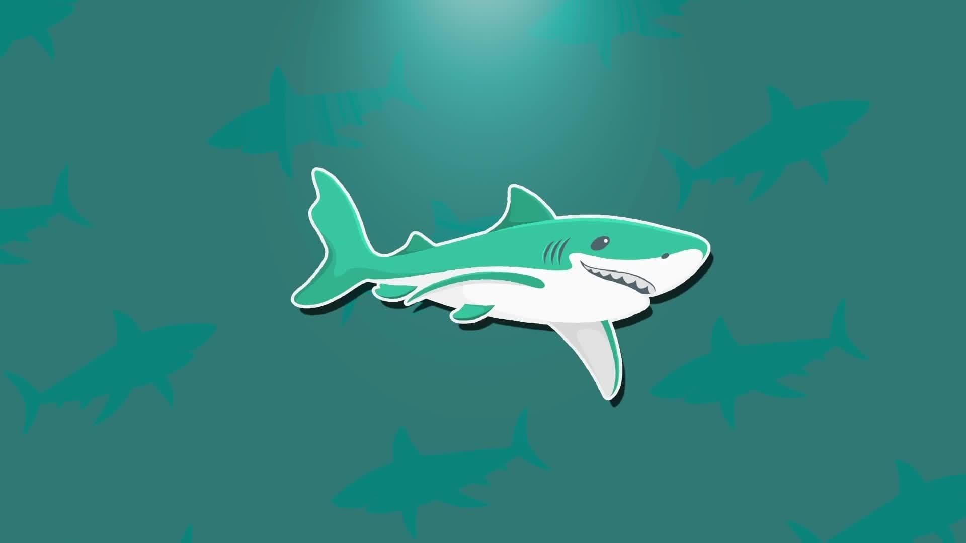 Shark Facts