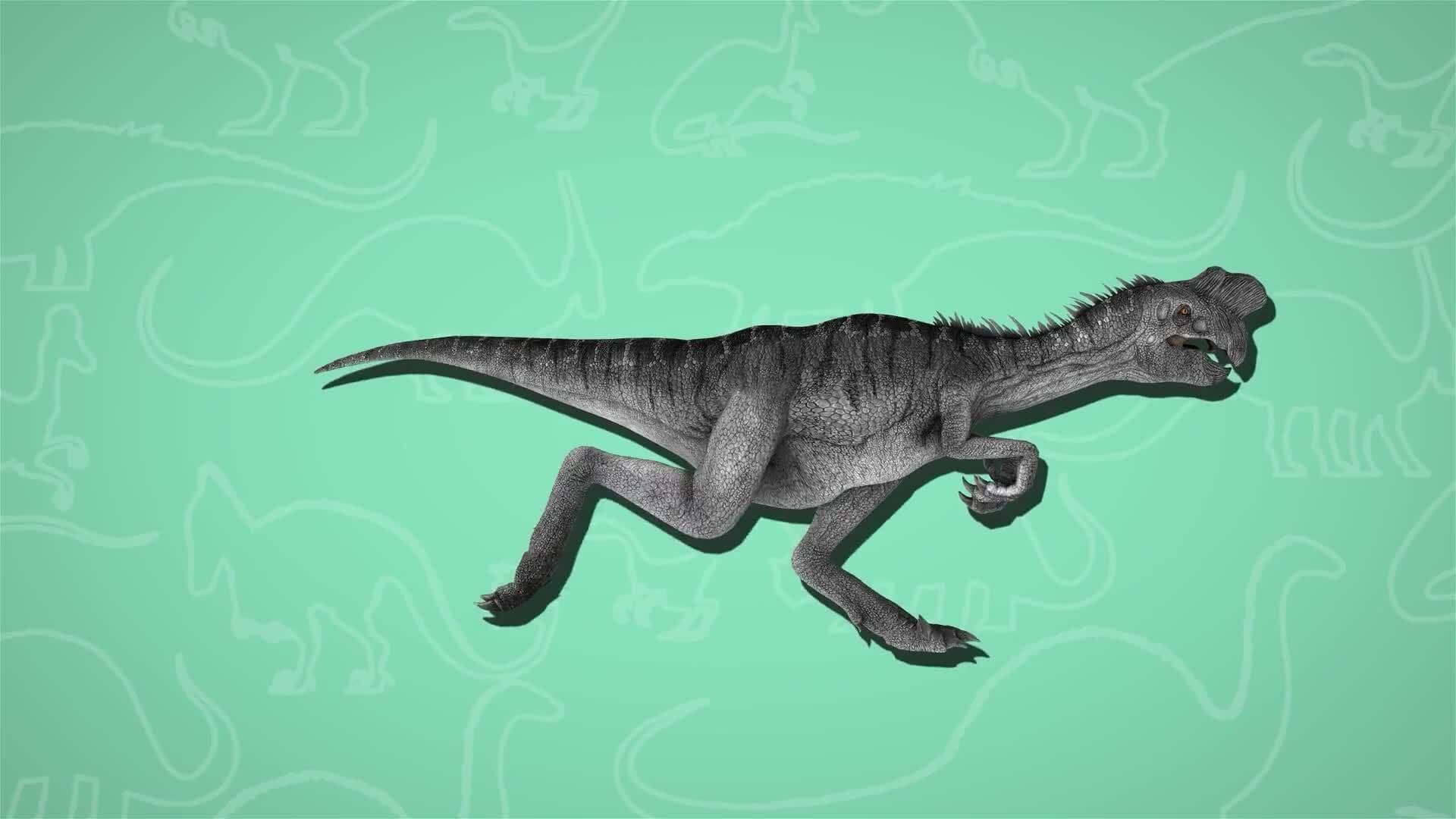 I WONDER - How Did Oviraptors Look After Their Eggs?