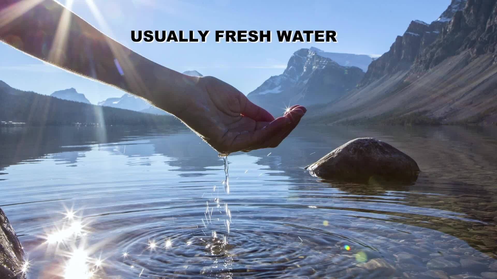 Communities Near Water: Oceans, Rivers, and Lakes