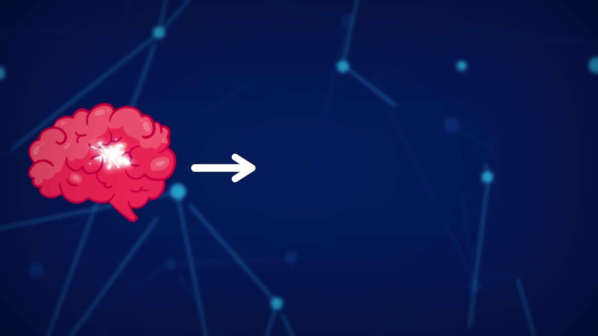 The Brain