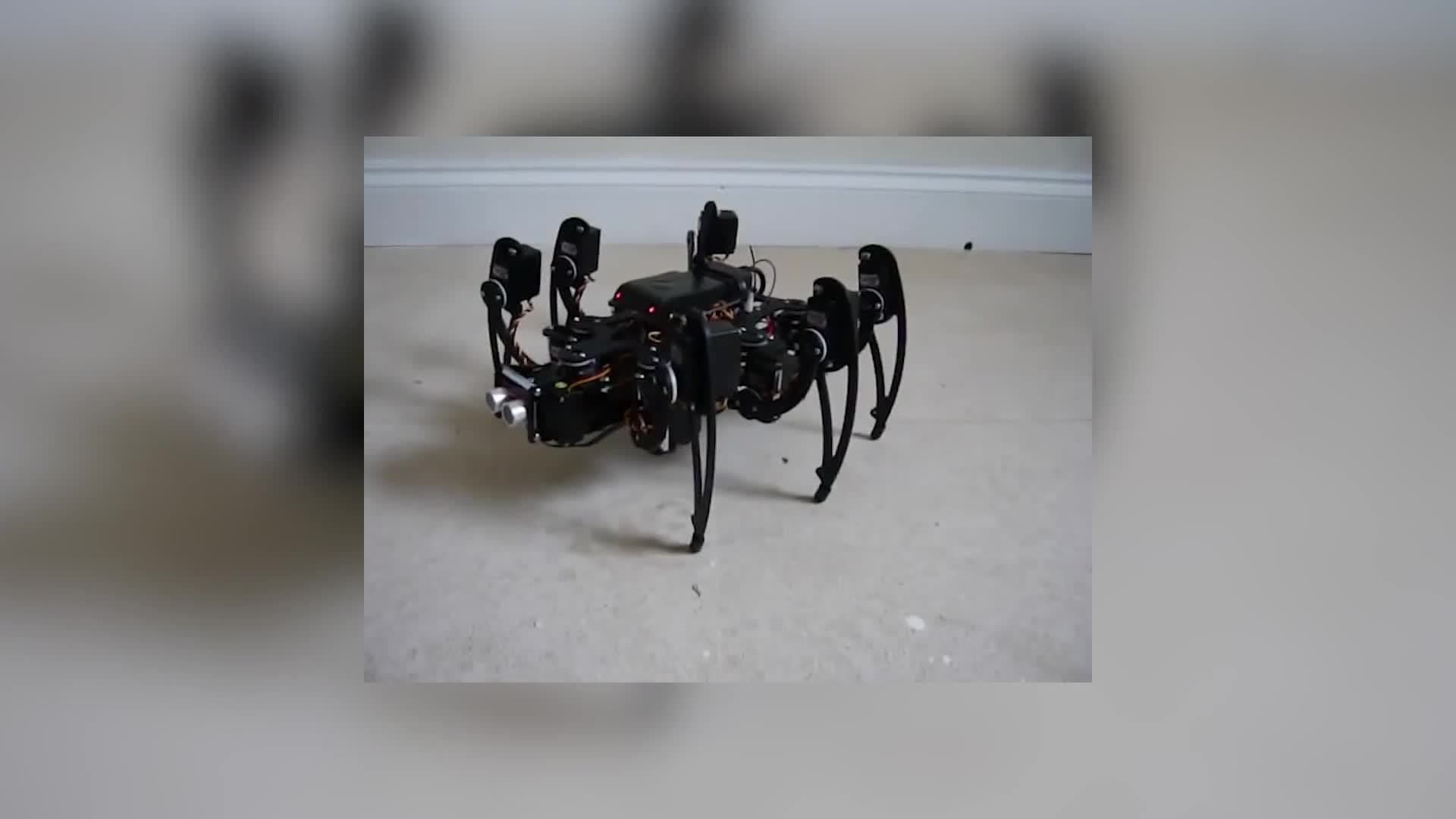 From Toys to Giant Walking Machines: A Journey in Engineering