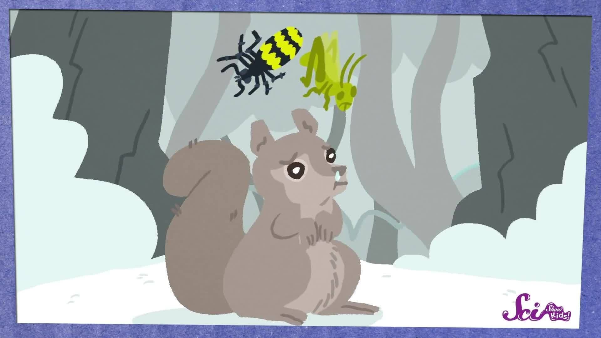 Why Do Squirrels Dig?