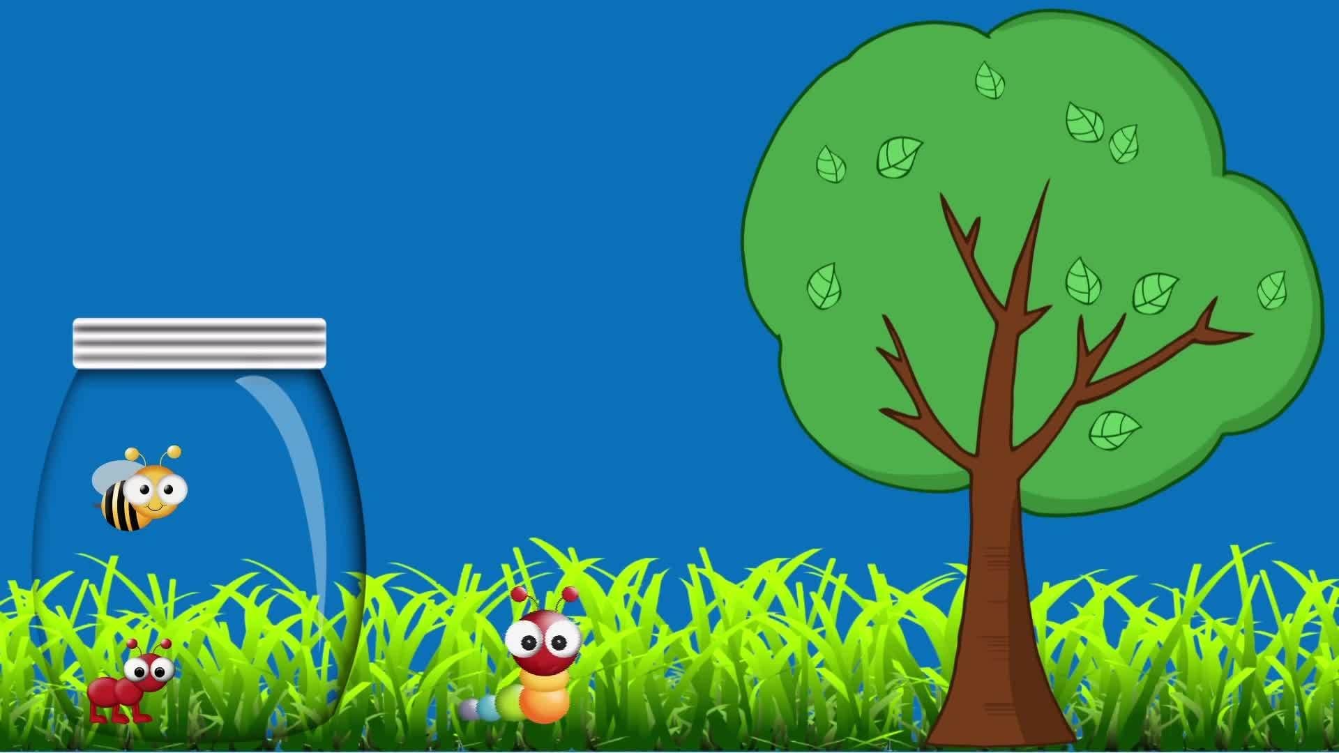 Bugs: Learning about Insects for Kids and Children