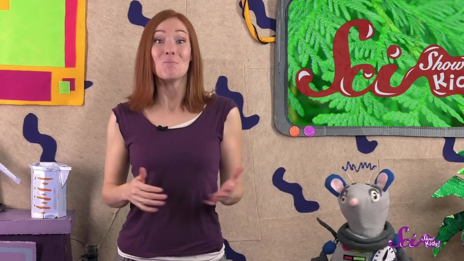 Why Do Birds Sing? Animal Science for Kids