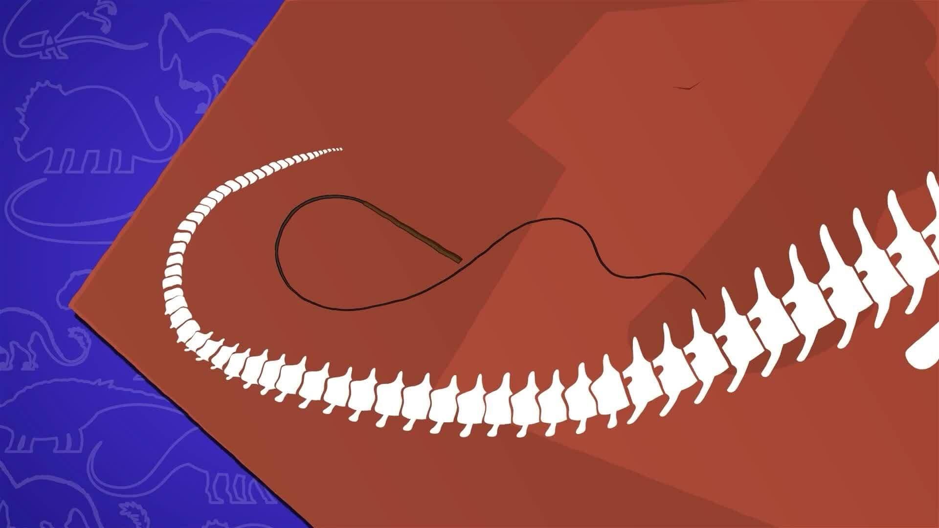 I WONDER - How Did The Diplodocus Defend Itself?